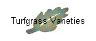 Turfgrass Varieties